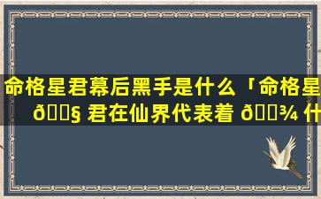 命格星君幕后黑手是什么「命格星 🐧 君在仙界代表着 🌾 什么职务」